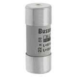 C22G25S Wkładka cylindryczna z wybijakiem 22x58 25A GG 690V AC C22G25S EATON