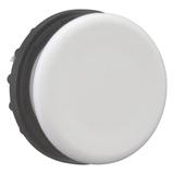 M22-B Zaślepka szara 216388 EATON