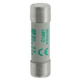 CYLINDRICAL FUSE 14 x 51 1A AM 690V AC Wkładka cylindryczna 14 x 51mm 1A AM 690V AC C14M1 EATON