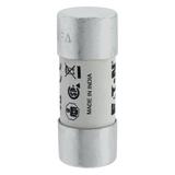 100A 600V 22X58 INDICATED 22 X 58MM 100A 700V 22X58 cylindryczna do półprzewodników wybijak 22 X 58M