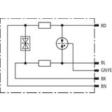 Ogranicznik przepięć DEHNpipe