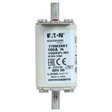 100A 1000V aR DIN 00 TYPE T FUSE Wkładka szybka 100A AC 1000V DIN 00 aR DIN IEC nieizolowan 170M2681