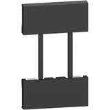 LIVING NOW - PLAKIETKA GNIAZDA US - EU/US - 2 MODUŁY - CZERŃ, Bticino