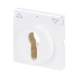 CARAT/FUTURE/SOLO/AXCENT  Pokrywa z polem opisowym. Z nadrukiem Do wyłącznika na klucz i wyłącznika/