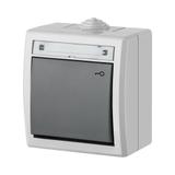 AQUANT ŁNT ZWIERNY "KLUCZ"