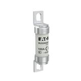100A 690V IEC AC BS88 HIGH SPEED FUSE Wkładka szybka 100A AC 690V DC 500V BS88 19x77 mm a 100FE EATO