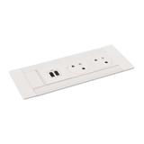 INCARA: MULTILINK - 2X2P+Z / USB A+C - 2,0 M-BIAŁY, Legrand