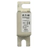 80A 690V IEC gR 00/80 SQ. BODY IND. FUSE Wkładka szybka 80A AC 690V DIN 00 30x51x100 mm g 170M2613 E