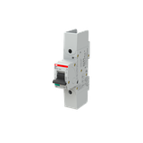 S801S-K63-R Wyłącznik nadprądowy 50kA 1P K63A 2CCS861002R0597 ABB