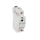 Rozłącznik bezpiecznikowy D02 1P 63A KSF02-63-1P IDEAL 23341 KANLUX