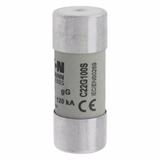 C22G100S Wkładka cylindryczna z wybijakiem 22x58 100A GG 500V AC C22G100S EATON