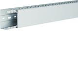 tehalit.HA7 Kanał grzebieniowy bezhalogenowy 40x60mm jasnoszary HA740060 HAGER