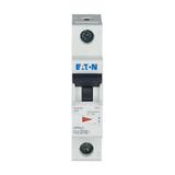 FAZ-D10/1 Wyłącznik nadprądowy 15kA D10A 1P 278580 EATON