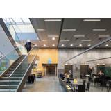 Oprawa DOWNLIGHT ALU DN200 25W 6500K WT IP44