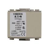 FUSE 250A 690V 1*GN/50 AR UC Wkładka szybka 250A AC 690V rozmiar 1 45x59x51 mm aR I 170M3516 EATON