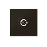 Mosaic - Gniazdo Tv O 9,52 Mm Męskie 2400 Mhz - 2 Modułowe - Antracyt 079182L LEGRAND