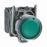 Harmony XB4 Przycisk płaski zielony z żarówką 250V XB4BW3365 Schneider