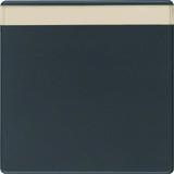 BERKER Q.x Klawisz z polem opisowym do łącznika 1-klawiszowego antracyt aksamit 16266086 HAGER