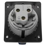 P17 TEMPRA PRO GNIAZDO TABLICOWE 32A 2P+Z 230V IP44, Legrand