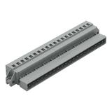 MCS-MIDI Classic wtyk 20-bieg. szary raster 5 mm /10szt./ WAGO