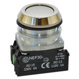 Przycisk NEF30-K2X/W3 biały W0-NEF30-K 2X/W3 B PROMET