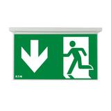 NexiTech LED opal szyba strzałka w dół / strzałka w dół 30m ISO7010 NEXI-PLEXO-DD EATON