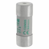 C22M50S Wkładka cylindryczna z wybijakiem 22x58 50A AM 690V AC C22M50S EATON