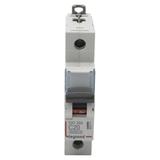 WYŁĄCZNIK NADPRĄDOWY S 301 1P C 20A 6000A SERII DX3, Legrand