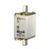 Wkładka topikowa NH zwłoczna NH00 gG 40A 800V 004184493 ETI