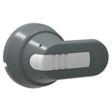 OHG65H9K RĄCZKA SZARA