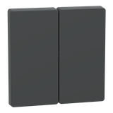 Merten, D-Life, klawisz podwójny, antracytowy