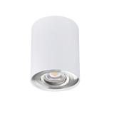BORD DLP-50-SR/W Oprawa sufitowa natynkowa BORD DLP-50-SR/W regulowana kolor biały / srebrny 1XGU10 22559 KANLUX