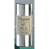 Wkładka Bezpiecznikowa Cylindryczna 22x58Mm 100A Gl 500V Hpc 015396 LEGRAND
