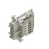 DSTV HE BL10 S Element kodujący do złączy przemysłowych /10szt./ WEIDMULLER