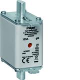 Wkładka bezp. nożowa NH00 wsk.podw. uchwyt nieiz. gG 125A 500VAC LNH0125M HAGER