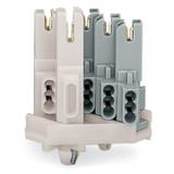 wtyk rozgałęźny 1 mm2 3-polowy biały/szary ze stopkami montażowymi