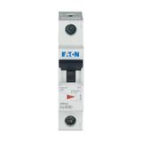 FAZ-K16/1 Wyłącznik nadprądowy 10kA K16A 1P 278599 EATON