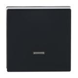 POKRYWA ŚCIEMNIACZA