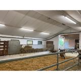 Oprawa hermetyczna DAMP PROOF LED SPECIAL 1500 50W 4000K WT IP67 LEDV LEDVANCE