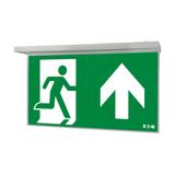 NexiTech LED opal szyba strzałka do góry / strzałka do góry 30m ISO7010 NEXI-PLEXO-UU EATON