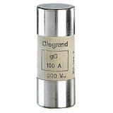 Wkładka Bezpiecznikowa Cylindryczna 22x58Mm 100A Gl 500V Hpc 015396 LEGRAND