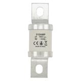 315AMP 690V AC BS88 HIGH SPEED FUSE Wkładka szybka 315A AC 690V DC 350V BS88 41x113 mm aR 315MT EATO