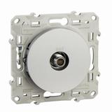 Odace, gniazdo SAT aluminium