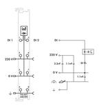 moduł wejść dwustanowych XTR 2-kanałowy 220 V DC WAGO