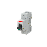 S801N-C50 Wyłącznik nadprądowy 36kA 1P C50A 2CCS891001R0504 ABB