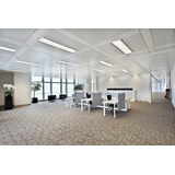Tuba LED MASTER 8W=18W 1000lm 3000K barwa ciepła LEDtube HF 600mm HO 8W830 T8 Tuby LED 5 lat gw. PHI