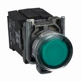 Harmony XB4 Przycisk płaski zielony żarówka 220/240V transformator metalowy XB4BW3345 Schneider