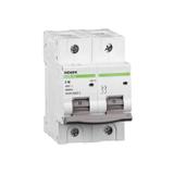 Ex9B125 1P+N B32A Wyłącznik nadprądowy 25kA B32A 1P+N 102717