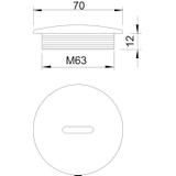 108 M, ZAŚLEPKI GWINTOWANE M63 SZ.