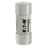 40A 690V 22X58 INDICATED 22 X 58MM 40A 700V 22X58 cylindryczna do półprzewodników wybijak 22 X 58MM